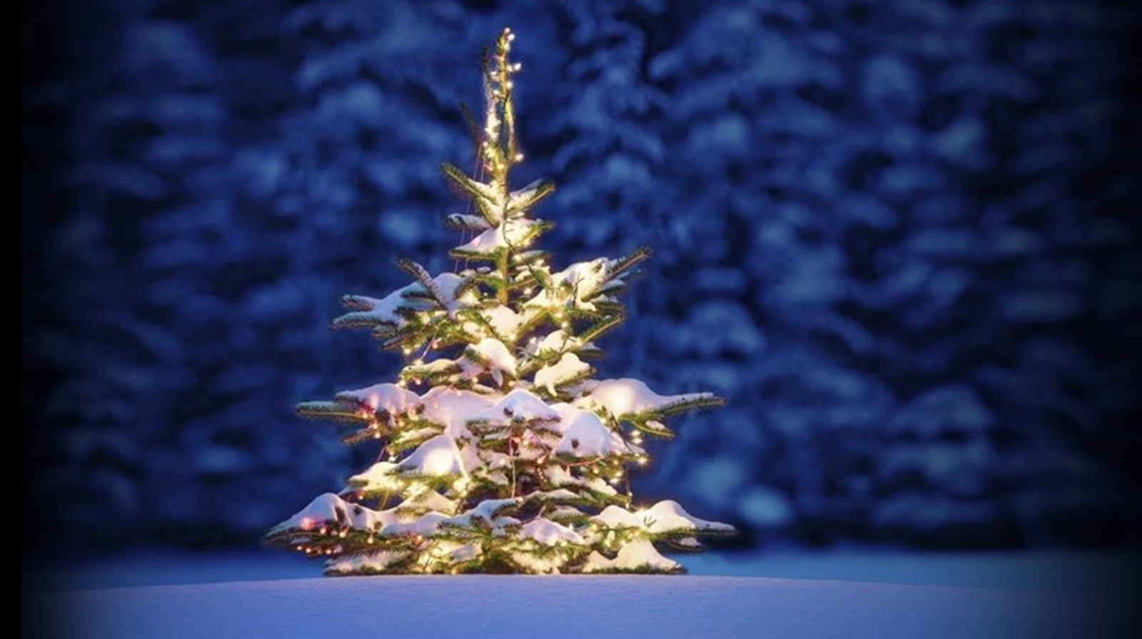 Julegrantenning 27.11.22.
